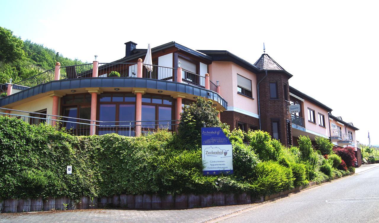 Urlaubsweingut Zecherhof Neef Экстерьер фото