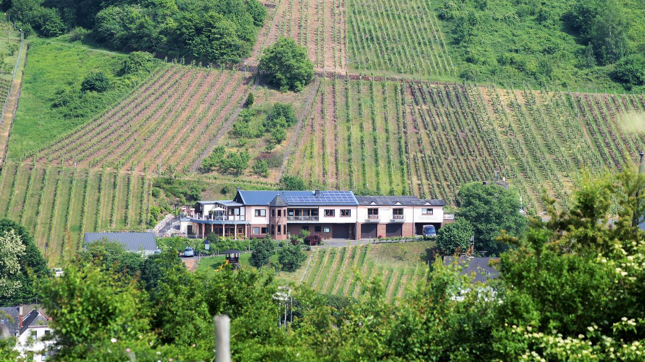 Urlaubsweingut Zecherhof Neef Экстерьер фото