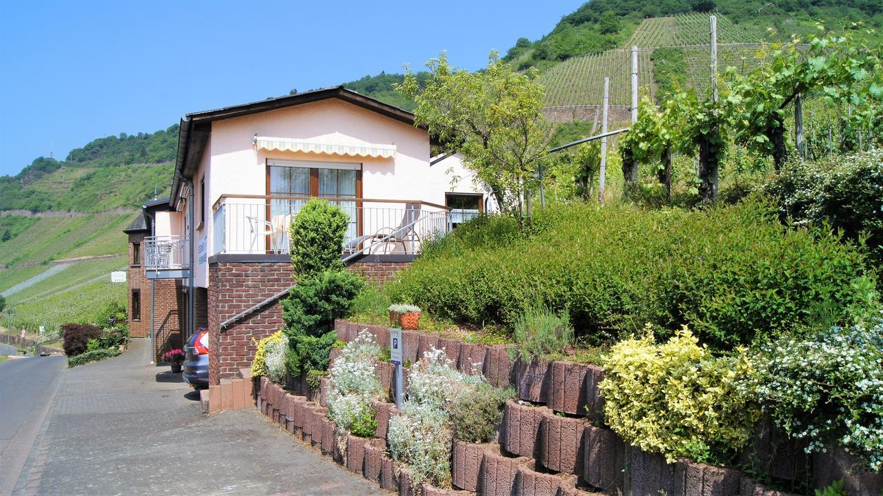 Urlaubsweingut Zecherhof Neef Экстерьер фото