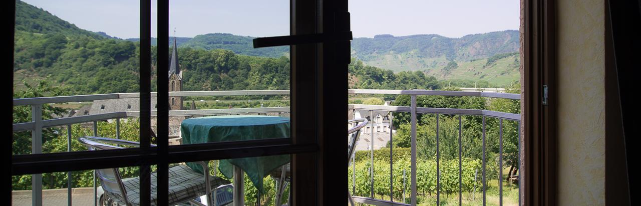 Urlaubsweingut Zecherhof Neef Экстерьер фото